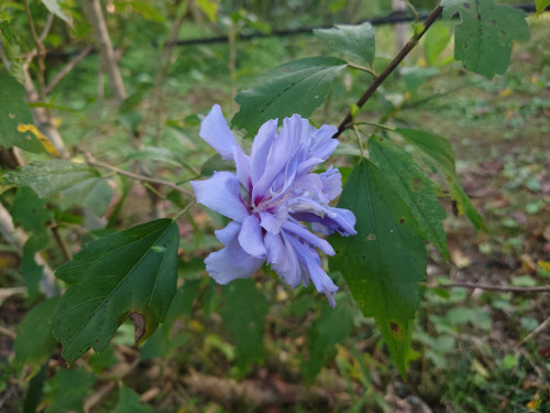 DSC_9173.JPG