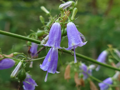 DSC_9344.JPG