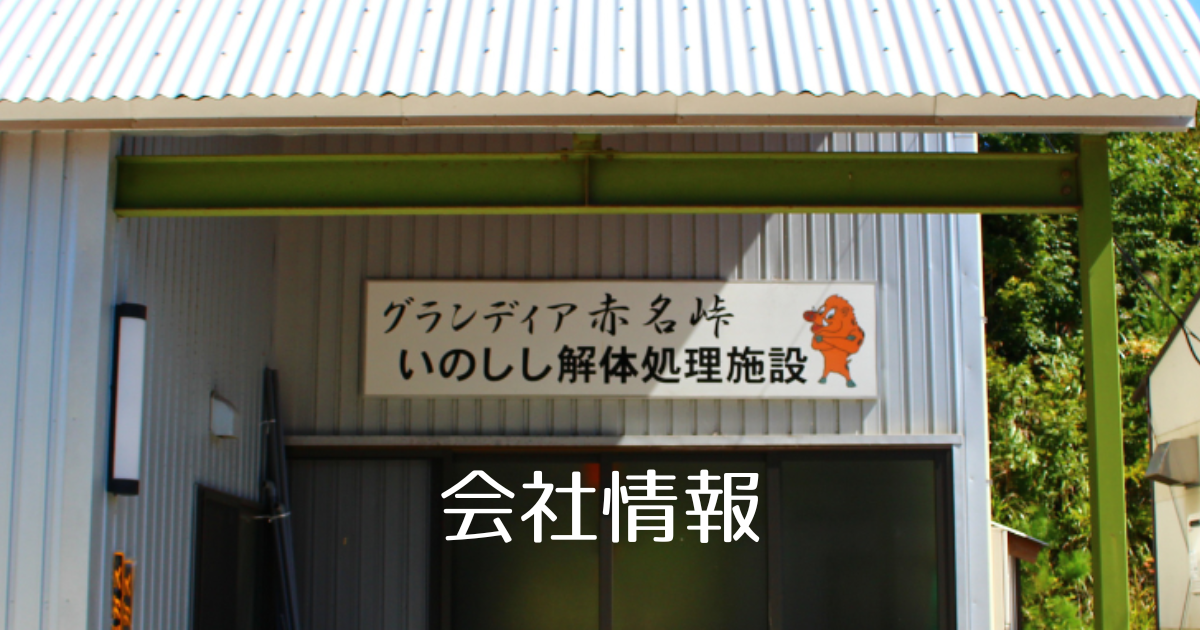 会社情報