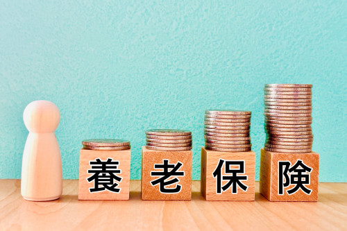 生命保険の照会（確認）