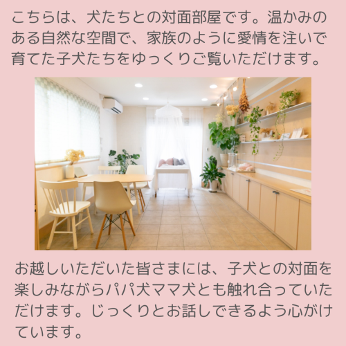 小見出しを追加.zip - 1.png