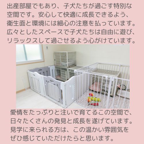 小見出しを追加.zip - 2.png