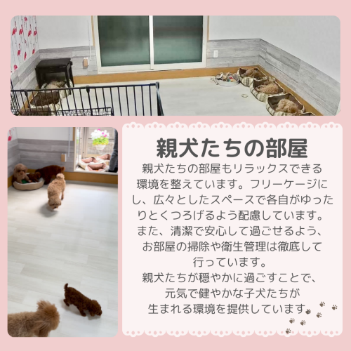 小見出しを追加.zip - 3.png