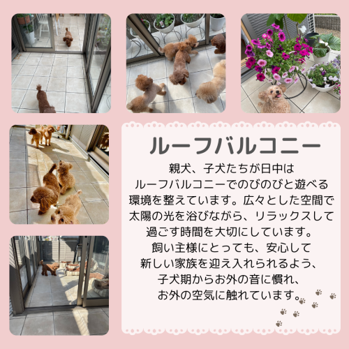 小見出しを追加.zip - 4.png