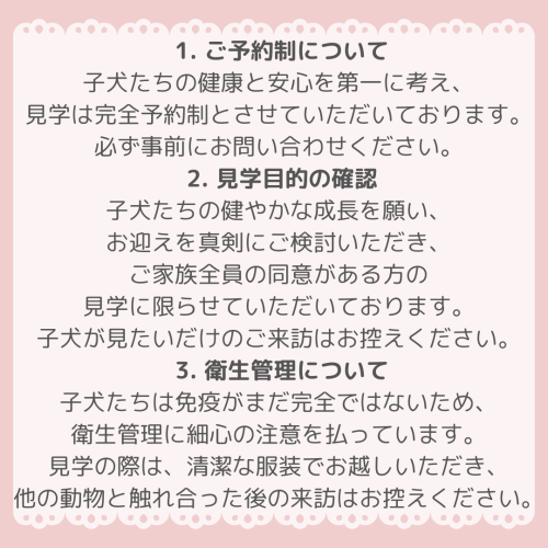小見出しを追加.zip - 6.png