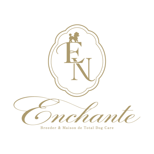 Enchante（アンシャンテ）║トイプードルブリーダー║子犬のためのトータルサロン