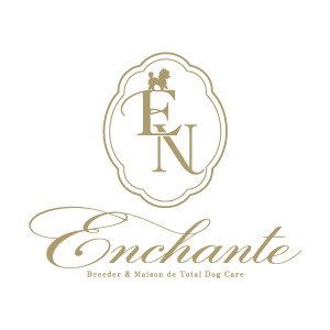 Enchanteのホームページをリニューアルいたしました