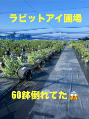 image_123650292.JPG