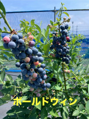 image_123650291.JPG
