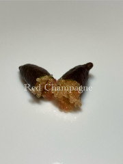 Red Champagne image_123650291.JPG