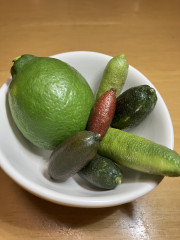 image_67158017.JPG