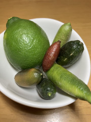 image_67185409.JPG