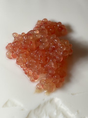 image_67184129.JPG
