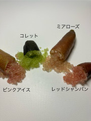 image_123650291.JPG