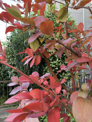 image_67527169.JPG