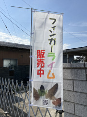 image_67177729.JPG