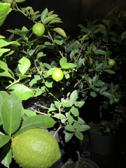 image_67207169.JPG