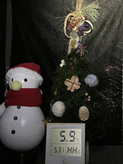 IMG_4971.jpeg