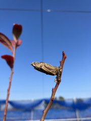 IMG_5198.jpeg