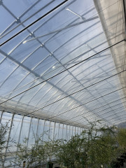 IMG_5286.jpeg