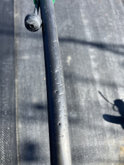 IMG_5289.jpeg
