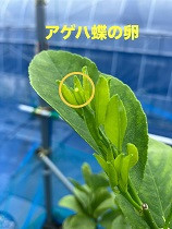 IMG_6701.jpg