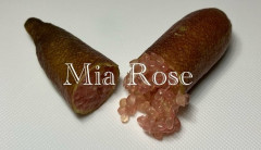 Mia Rose image_123650291-2.jpg