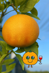 Combine a photo of a-1.jpg