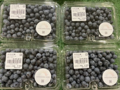 IMG_8655-1.jpg