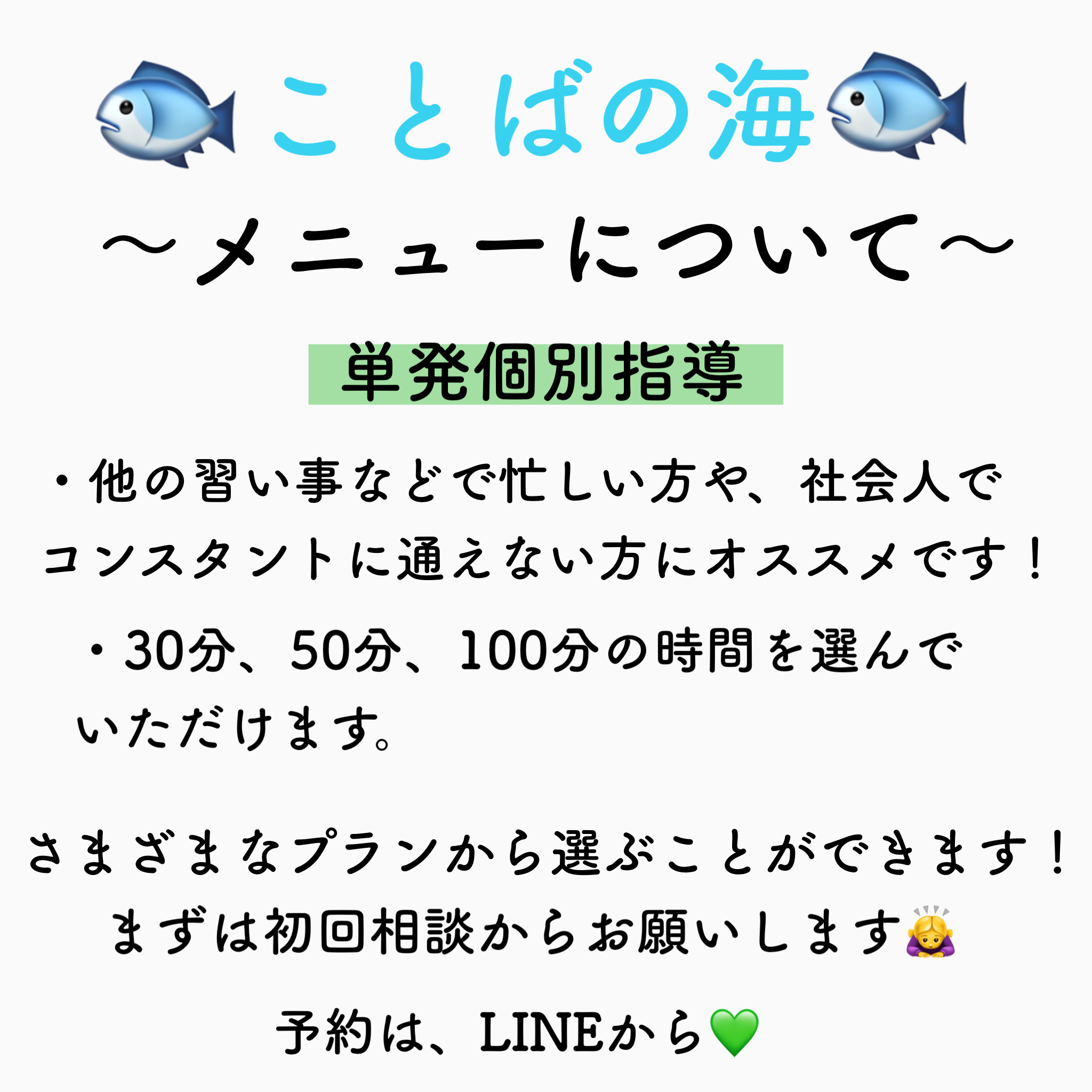 メニューについて〜単発個別指導～