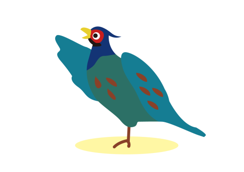 520208.png