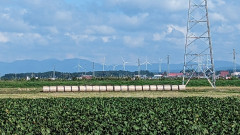 PXL_20230927_002808262.jpg