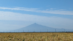 PXL_20230927_002543088.jpg