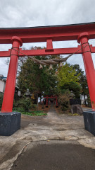 PXL_20231104_005518413.jpg