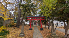 PXL_20231104_005535621.jpg