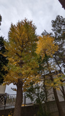 PXL_20231104_005737001.jpg