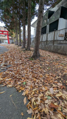PXL_20231104_005803747.jpg