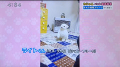 Screenshot_20231213-144513.png