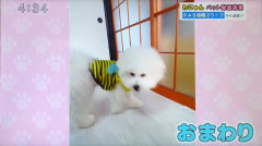 Screenshot_20231213-144305.png
