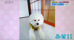 Screenshot_20231213-144314.png