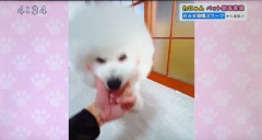 Screenshot_20231213-144545.png