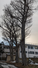 PXL_20240119_065643430.jpg