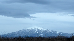 PXL_20240219_081526510.jpg