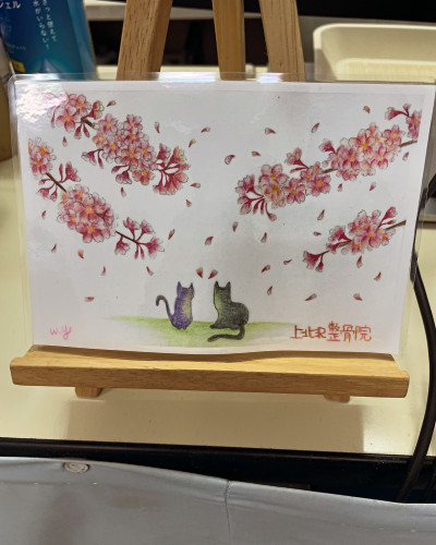 桜🌸