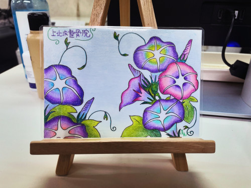アサガオ😊