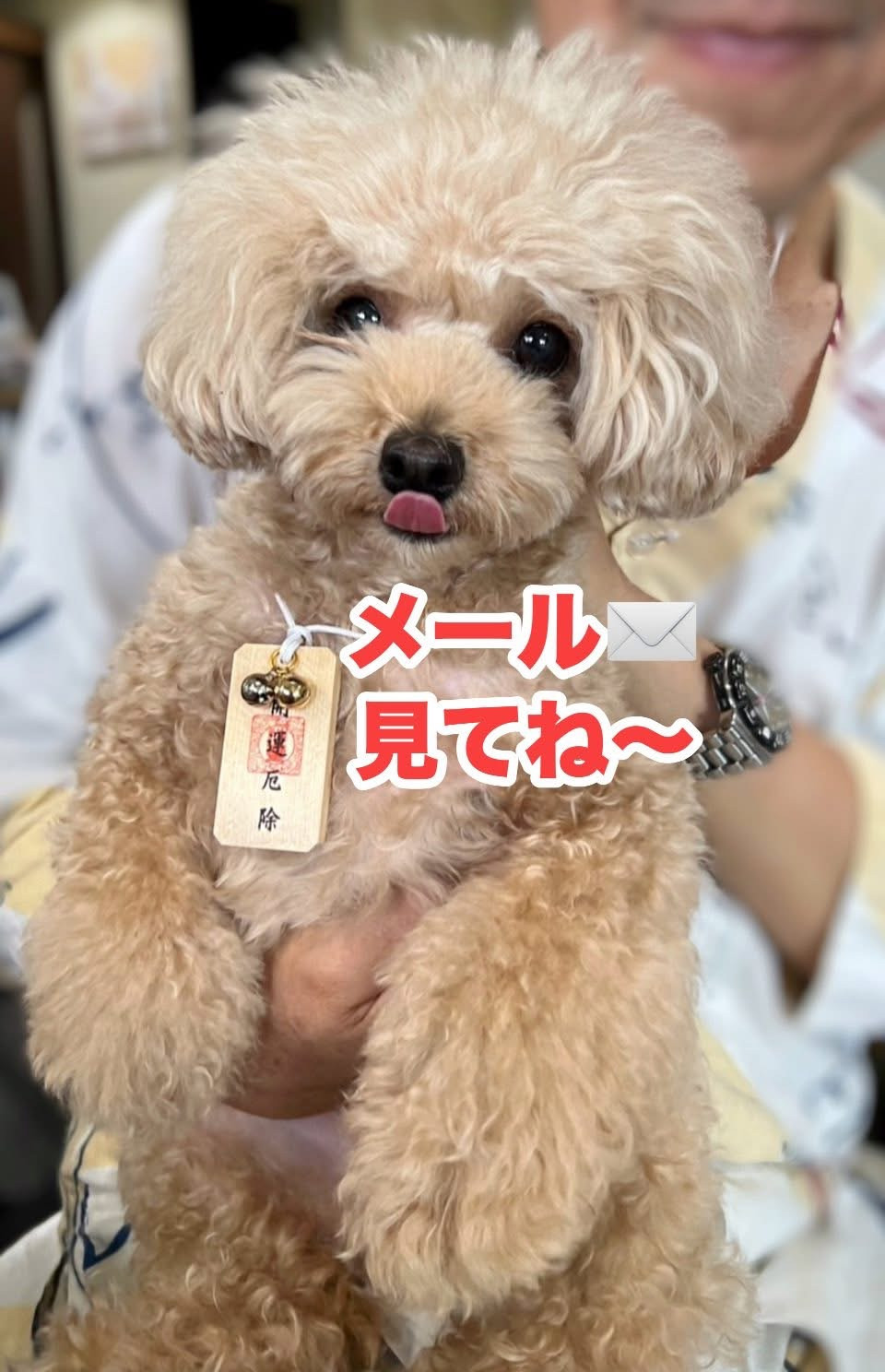 10/8コラボイベントにお越しの皆様へ