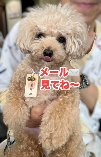 10/8コラボイベントにお越しの皆様へ