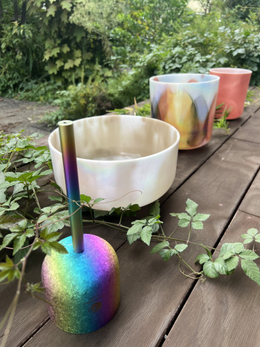 本日のヒーリング音楽会はお休みさせていただきます