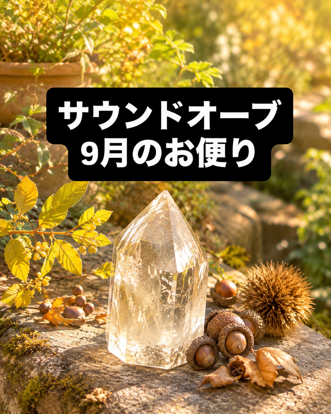 28CF0F7B-4DD2-462A-A000-4B00BA51C9AC.png