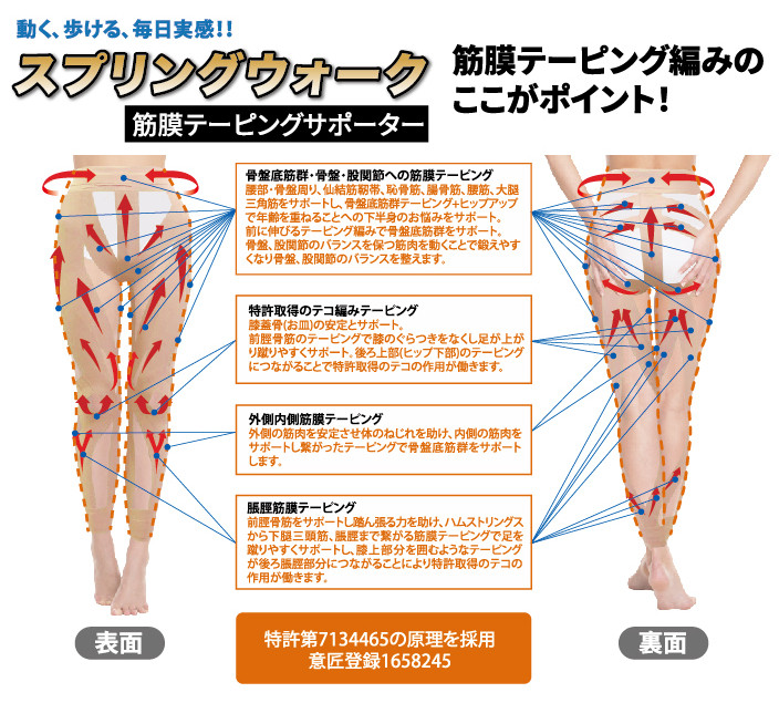 スプリングウオーク筋膜テーピングサポーター（スパッツ）10分丈新発売